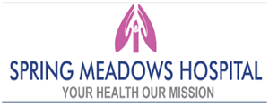 Spring Meadows Hospital